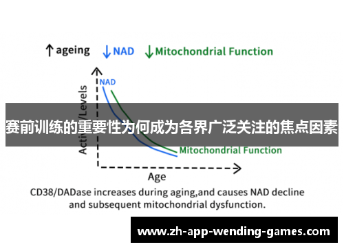 赛前训练的重要性为何成为各界广泛关注的焦点因素 赛前训练的重要性为何成为各界广泛关注的焦点因素