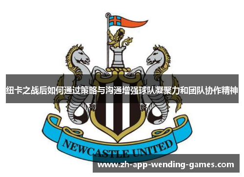 纽卡之战后如何通过策略与沟通增强球队凝聚力和团队协作精神 纽卡之战后如何通过策略与沟通增强球队凝聚力和团队协作精神