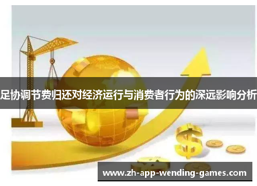 足协调节费归还对经济运行与消费者行为的深远影响分析 足协调节费归还对经济运行与消费者行为的深远影响分析