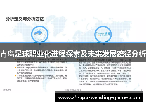 青岛足球职业化进程探索及未来发展路径分析 青岛足球职业化进程探索及未来发展路径分析