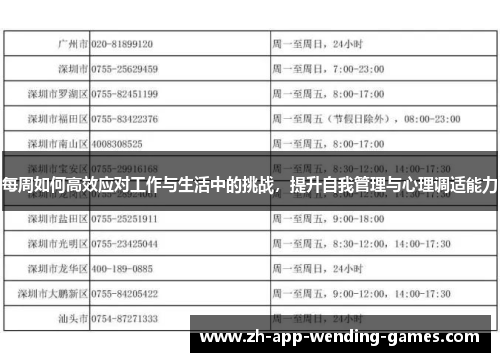 每周如何高效应对工作与生活中的挑战,提升自我管理与心理调适能力 每周如何高效应对工作与生活中的挑战,提升自我管理与心理调适能力