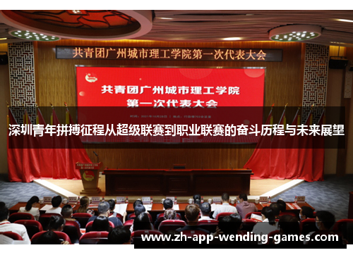 深圳青年拼搏征程从超级联赛到职业联赛的奋斗历程与未来展望 深圳青年拼搏征程从超级联赛到职业联赛的奋斗历程与未来展望