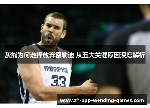 灰熊为何选择放弃霍勒迪 从五大关键原因深度解析 灰熊为何选择放弃霍勒迪 从五大关键原因深度解析