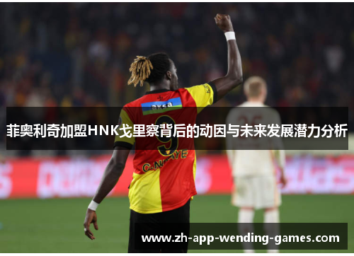 菲奥利奇加盟HNK戈里察背后的动因与未来发展潜力分析 菲奥利奇加盟HNK戈里察背后的动因与未来发展潜力分析