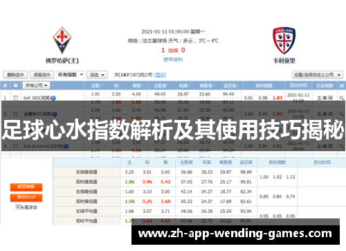 足球心水指数解析及其使用技巧揭秘