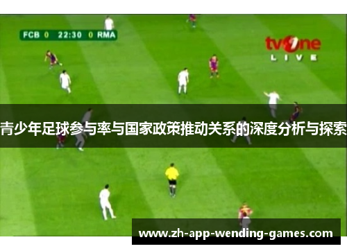 青少年足球参与率与国家政策推动关系的深度分析与探索